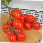 2st Simulierte Kleine Tomaten Zuhause Gefälschte Fruchtstütze Gefälschte Kirschtomaten Lebensechte Kirschtomaten Künstliche Kirschtomaten-Modell Simulation Kirschtomaten Rot Sc