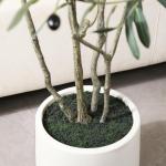 Olijfboom, , 210 cm, kunstplant met levensechte vruchten, kunstolijfboom in witte pot, indoor decoratie (1 stuks)