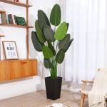 Künstliche Pflanze Künstlicher Paradiesvogel Baum 180 cm Plastik Pflanze Palme im Topf Tropical Hawaii Grün Fake Plant für Schlafzimmer Wohnzimmer Garten Deco (1 Stück)