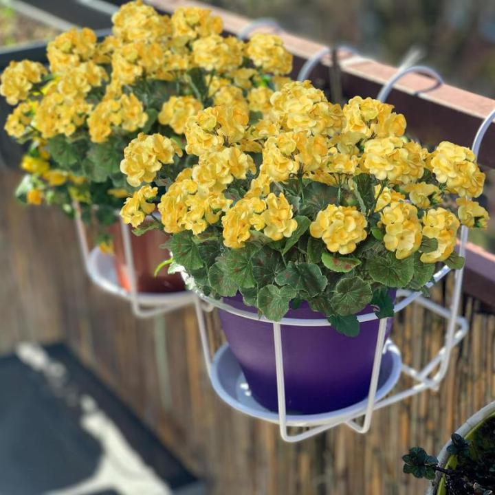3 stuks , zijden geraniumbloemen met groene bladeren, realistisch nep-geraniumboeket voor tuin, thuiskantoor, feest, bruiloft, tafeldecoratie, geel