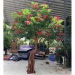 Simulierter Phönixbaum, künstliche grüne Pflanzen, Jacaranda -Baum, Feuerbaum, Landschaftsdekoration Künstlicher Baum, simulierter großer Baum B-6.6ft