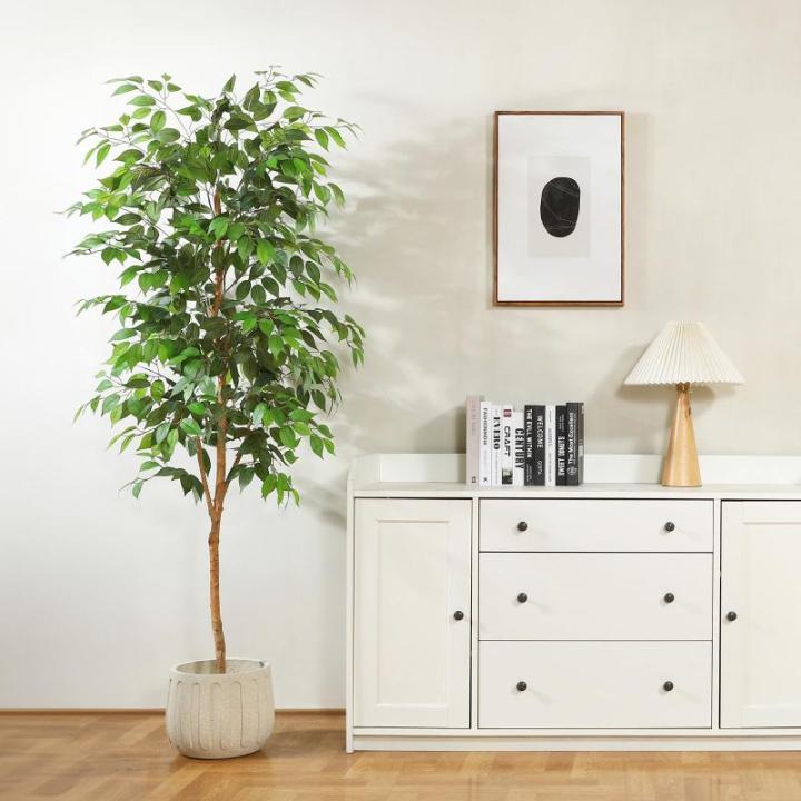Ficus Benjamina , 180 cm, groot, met natuurhouten stam, kamerplant, kunstboom in pot, voor thuis, kantoor, balkon, decoratie (2 stuks)