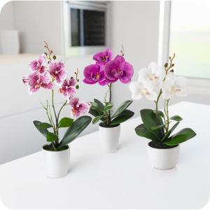 in pot (35 cm), set van 3 kunstorchideeën, kunstmatig afgestemde arrangement in hoogglans-keramische potten, decoratieve bloemen, kunstorchideeën (wit-rosé)