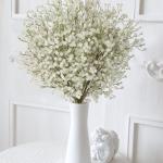 voor babyadem Gypsophila voor bruiloft, feest, doe-het-zelf, bloemstuk, woondecoratie