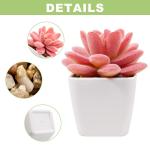 6 stuks decoratieve , kleine met pot, kunstvetplanten, nepplanten, voor binnen, thuis, kantoor, tafel, badkamer, slaapkamer, balkondecoratie