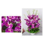 Kunstblumen Künstliche Blumen, künstliche Orchideen-Dekoration – Seidenstoff-Orchideen-Topf-Arrangement mit echtem Touch, Bonsai für Zuhause/Büro für jeden Anlass