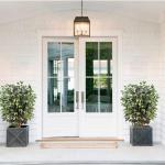Benjamini Ficus, , grote kunstboom, kamerplant, decoratie met echt houten stam, voor kantoor, decoratie, slaapkamer, eetkamer, binnen, buiten, groen/rood, 91 cm