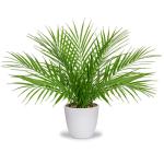 Kunstplant in pot, kunstpalm, decoratie, moderne kunstpalm, , kunststof, plantendecoratie voor woonkamer, balkon, slaapkamer, badkamer, tafeldecoratie, wit