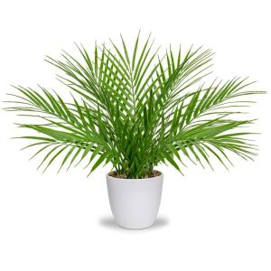 Kunstplant in pot, kunstplant Boston-varen, decoratie, moderne , kunststof planten, decoratie voor woonkamer, balkon, slaapkamer, badkamer, kamer, tafeldecoratie