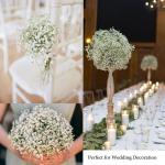 voor babyadem Gypsophila voor bruiloft, feest, doe-het-zelf, bloemstuk, woondecoratie