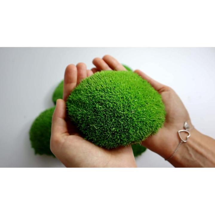 Hello Moss geconserveerd mos 8 stuks - mosdecoratie voor jou - kogelmos geconserveerd voor je huis - maak een mosafbeelding - geschikt als mos voor terraria en bossen in glas