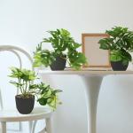 Monstera kunstplant in potten, mini-, voor binnen en buiten, als echt geschikt voor balkon