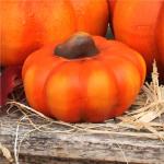 Pompoenset in fel oranje, herfstdecoratie, handgemaakte decoratieve pompoenen van klei voor binnen en buiten, weerbestendig en duurzaam, sierpompoenen, 3-delige set, perfecte Hallo