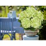 Grote hortensia, kunstbloemen, lichtgroen, realistische hortensia, boeket, kunstbloemen, zijde, hydrangea, bloemstukken, echte touch, kunsthortensia voor bruiloft, kantoor, café, 