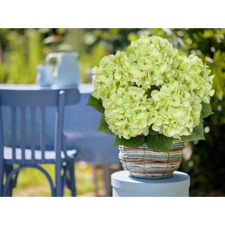 Grote hortensia, kunstbloemen, lichtgroen, realistische hortensia, boeket, kunstbloemen, zijde, hydrangea, bloemstukken, echte touch, kunsthortensia voor bruiloft, kantoor, café, 