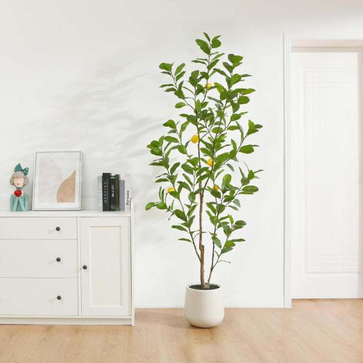 Citroenboom, , 180 cm, grote citroenboom met levensechte vruchten in witte pot, als echt voor moderne decoratie (1 stuks)