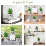 3 stuks kunstmatige vetplanten, echte planten met potten, emotioneel cement, potplant met hangende poten, decoratie, planten voor badkamer, tafeldecoratie, woonkamerdecoratie, vens