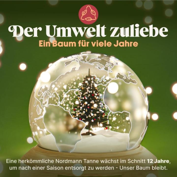 Pure Living Kunstkerstboom, 215 cm, natuurgetrouwe spuitgietelementen, kunstkerstboom met houten standaard en opbergtas