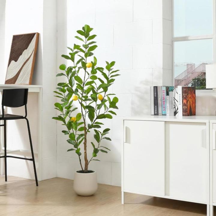 Citroenboom, , 150 cm, grote citroenboom met levensechte vruchten in witte pot, als echt voor moderne decoratie (1 stuks)