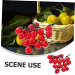 16 Stück Simulierte Kirschtomaten Künstliche Kirschtomaten Heim Fake Obst Requisite Simulationsgemüse Früchte Mini Kirschtomaten Simulationsfrüchte Künstliche Früchte