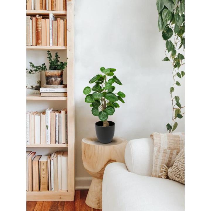 45 cm kleine , in pot, decoratieve planten in pot, zoals echt, Chinese geldplant, plastic planten voor woonkamer, slaapkamer, kantoor, decoratie