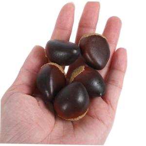 1 Satz Schaumkastanie Lebensechte Kastanien Künstliches Kastanienmodell Künstliche Kastanien Schaumfruchtmodell Simulationsnüsse Lebensechte Nussdekoration Food-Modell Coffee 30