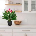 Kunstplant als echte kunstplant, decoratieve plant Calathea, struikachtig met 22 bladeren in kunststof pot, kamerplant, hoogte 43 cm, groen