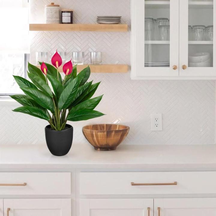 Kunstplant als echte kunstplant, decoratieve plant Calathea, struikachtig met 22 bladeren in kunststof pot, kamerplant, hoogte 43 cm, groen