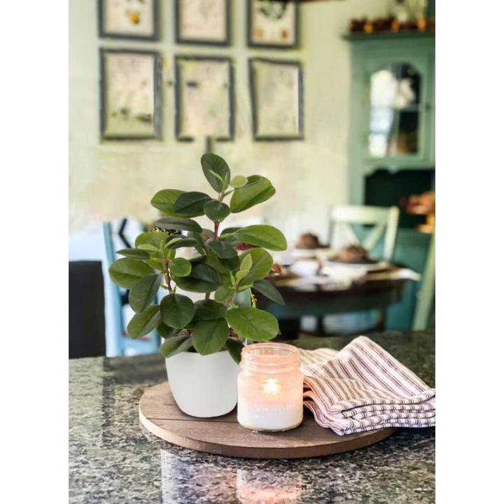 28 cm in pot voor woondecoratie, kunstkamerplant, camellia, bloemstukken, thuis- en kantoor, decoratie, desktop, bonsai, met potten, tafeldecoratie huis, balkon,