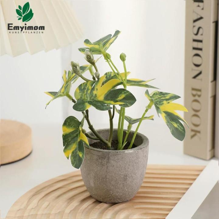3 stuks , mini-, echte eucalyptus, rozemarijn, babyborrel, klein, met potten, tafeldecoratie, huis, balkon, kantoor, decoratie (3, groen)
