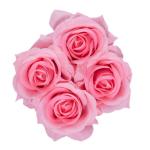 Rozenbox rond, 4 rozen, stevige bloemenbox, wit, 10 jaar houdbaar, cadeau-idee, decoratieve bloemenbox, roze, 14 x 13 x 13 cm