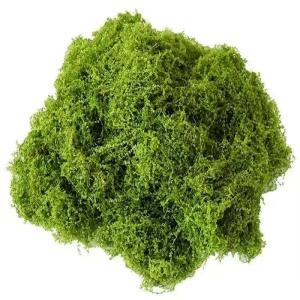 50 g kunstmos om te versieren, kunstmos voor het knutselen, kunstmos, decoratie, kunstmos, fake decomoos, knutselmos voor muur, kribbe, aquarium, kribbe, modelbouw, donkergroen