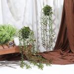 2 stks Nep Hangende Planten Nep Ingemaakte Eucalyptus Groen Planten Kleine Faux Planten Voor Indoor Outdoor Plank Muur Decor