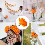 Kunstbloemen, 30 stuks, kunstbloemen, zijdemateriaal, langdurige schoonheid en onderhoudsvriendelijk, goed voor feestdecoratie, thuis, bruiloftsdecoratie (oranje)