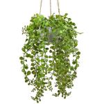 Kunstmatige planten Ficus Pumila Hangplant Kamer Wand Decoratie Aesthetische Kunstplant, Hoogte 35,5 cm, in Hanglamp