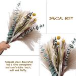 Gedroogde pampasdecoratie, natuurlijke gedroogde bloemen, 100 stuks, doe-het-zelf, gedroogde bloemen, boeket, ideaal voor boho, woonkamer, bruiloft, slaapkamer en vazen (LZGSGO-010