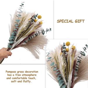 Gedroogde pampasdecoratie, natuurlijke gedroogde bloemen, 100 stuks, doe-het-zelf, gedroogde bloemen, boeket, ideaal voor boho, woonkamer, bruiloft, slaapkamer en vazen (LZGSGO-010