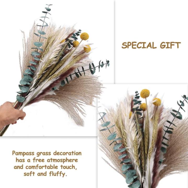 Gedroogde pampasdecoratie, natuurlijke gedroogde bloemen, 100 stuks, doe-het-zelf, gedroogde bloemen, boeket, ideaal voor boho, woonkamer, bruiloft, slaapkamer en vazen (LZGSGO-010