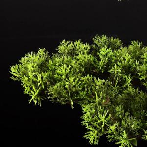 Künstlicher Bonsai-Baum Künstlicher Bonsai-Baum, 53,3 cm, künstlicher Bonsai-Kiefernbaum, lebensechter Stamm, künstliche Pflanzen-Dekoration, in schwarzem Pflanzgefäß Künstl