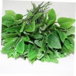 120 STK Rosenstiel Blumen Machen simulierte Blumenstiele Kunstblätter künstliche blüten Artificial künstliche Rosen bastelt Blumendraht Material für künstliche Blumen Draht.