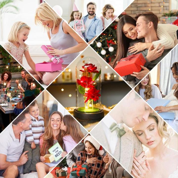 Rosen-Geschenke für Frauen, Mütter, Ehefrau, bunte künstliche Rosen, Geschenke für Frauen, für immer in Glaskuppel, Regenbogen-Rose für Geburtstag, Weihnachten, Muttertag, De
