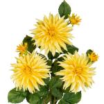 3 stuks gele kunstmatige dahlia's, 75 cm kunstzijden bloemen met lange steel voor bloemarrangementen, faux dahlia's bloemen voor doe-het-zelf bruiloft party middenstuk huis kantoor