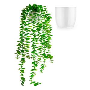 Kunstmatige eucalyptus (60 cm) in witte keramische pot: kunstmatige hangplanten | kunstmatige planten als echt | hangende | kunstplant hangend in pot | kunstplant kunstplant