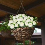 Kunstbloemen, kunstmatige pioenrozen van pioenrozen voor bruiloft, thuis, kantoor, feest, raamdecoratie, tafeldecoratie, doe-het-zelf, bloemstukken, wit 0801