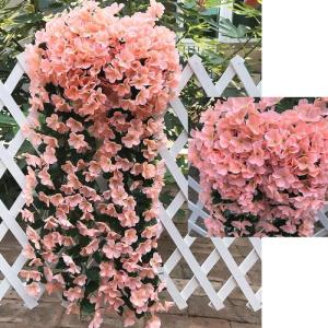 , blauweregen, aan de muur, hangende bloemen, voor bruiloften, thuis, tuin, feest