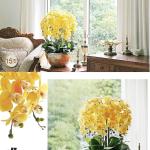 Kunstblumen Künstliches Phalaenopsis-Blumenarrangement – ​​Seidenorchideen für Heimdekoration, Hochzeiten, Partys und Büro – lebensecht für jeden Anlass