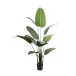 Kunstplant, kunstboom, kunstplant, decoratieve bananenplant in zwarte pot, groot en zeer realistisch, groen (160 cm)