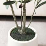 Olijfboom, kunstplant, 150 cm, kunstplant met levensechte vruchten, kunstolijfboom in witte pot, indoor decoratie (1 stuks)