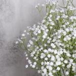 Gypsophila , 7 stuks, wit, Gypsophila, , kunstplanten, doe-het-zelf voor bruiloft, bruidsboeket, bloemstuk, hotel, woonkamer, feestdecoratie