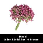 1403 , 16 stuks, , Gypsophila, , boeketten, voor bruiloft, bruid, feest, woondecoratie, roze